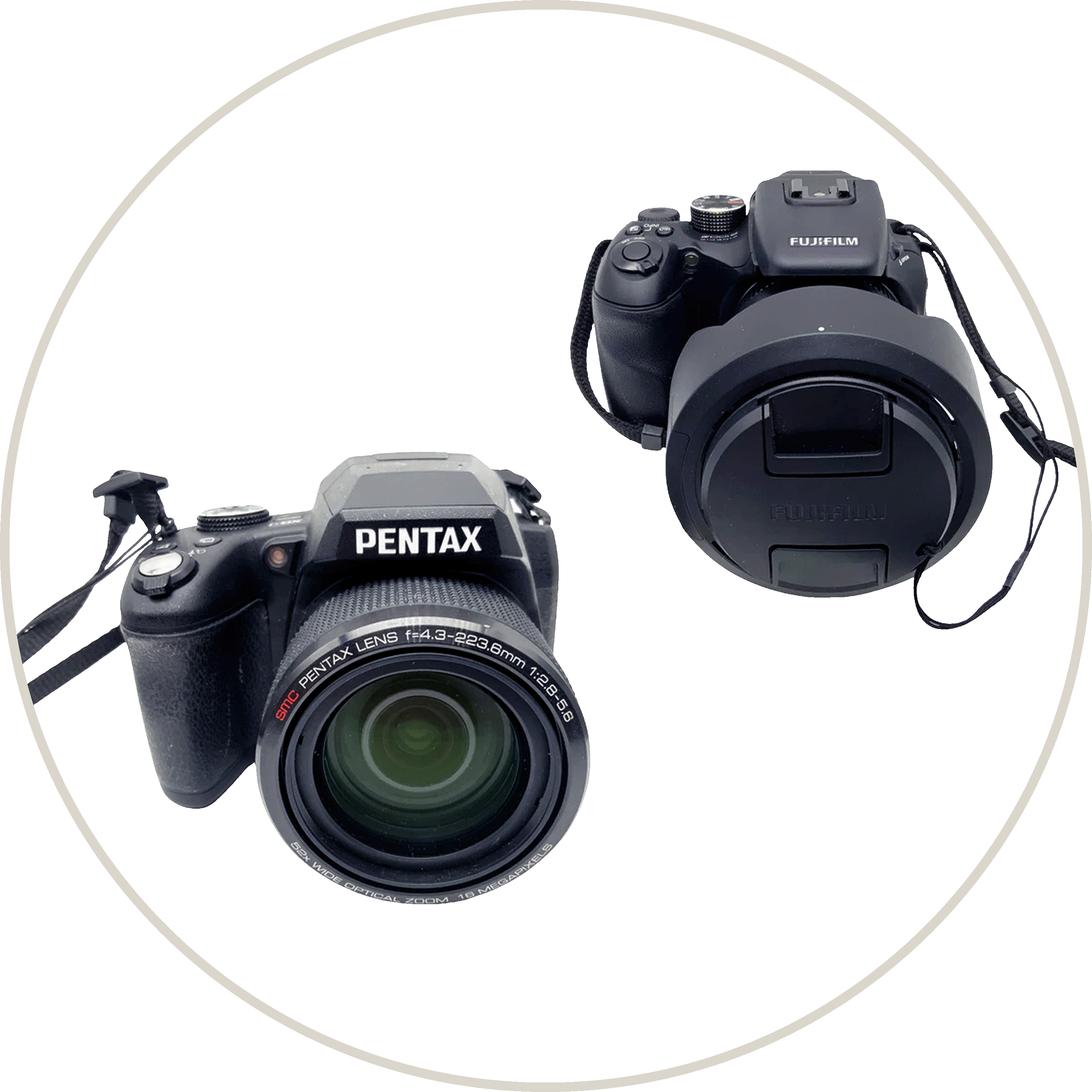 Bridge cameras