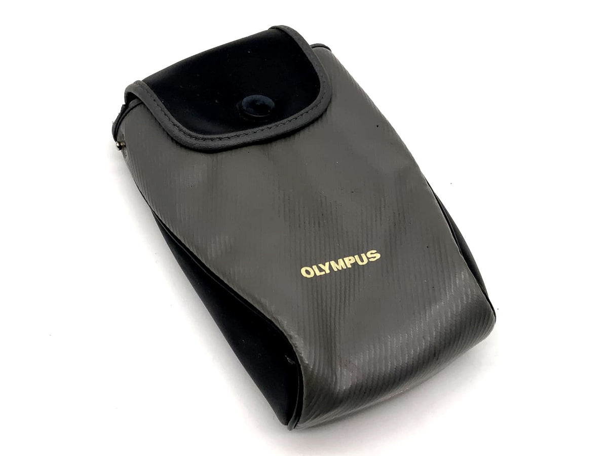 Olympus Leather Ready Bag Grey Universal Camera Bag